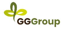 /imgs/logo-gg-group.png Img